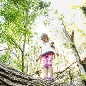 Fëmija mbi pemë